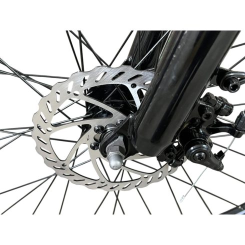 Bartamotor BM-01-SD 36V 250W pedelec elektromos kerékpár