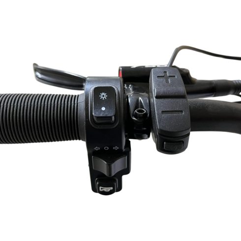 Bartamotor BM-05-SD 36V 250W pedelec elektromos kerékpár