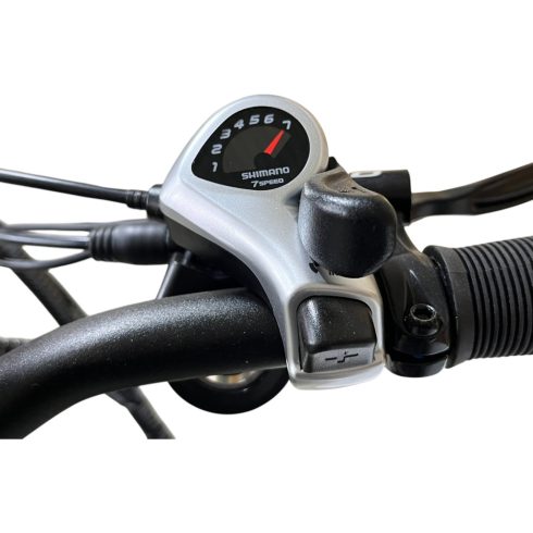 Bartamotor BM-05-SD 36V 250W pedelec elektromos kerékpár