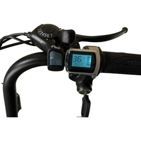 Bartamotor BM-08-SD 36V 250W pedelec elektromos tricikli