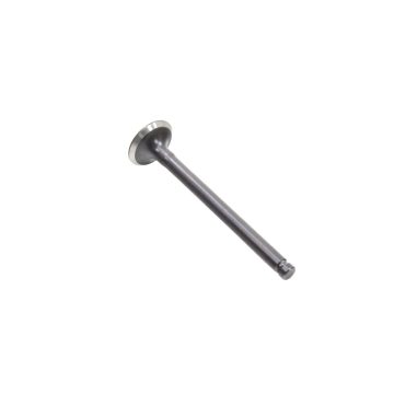 Kipufogó szelep 50cm3 FMB MR