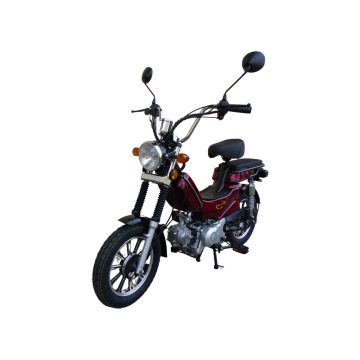 Robbanómotoros kerékpárok